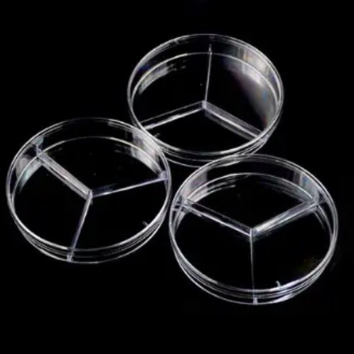 Đĩa Petri dùng trong phòng thí nghiệm